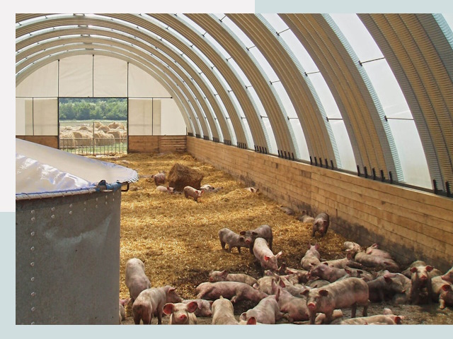 Строительство свинарников в Югорске