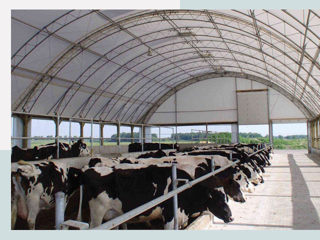 Тентовые коровники в Югорске